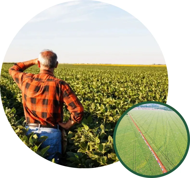 História - FS Perícias